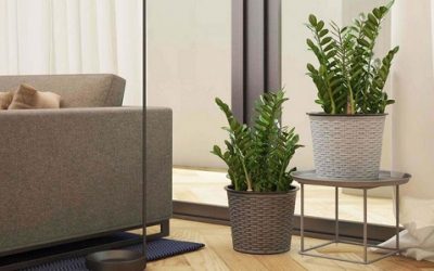 Mẫu hợp đồng chuyển nhà trọn gói của bốn mùa