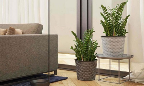 Mẫu hợp đồng chuyển nhà trọn gói của bốn mùa