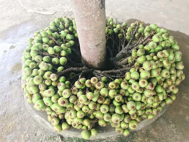 Quy trình dịch vụ chuyển nhà trọn gói tại hà nội